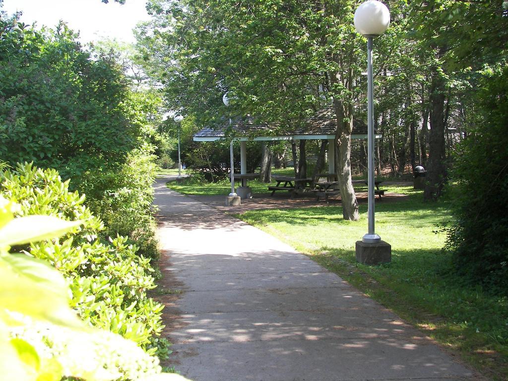 Mount Saint Vincent University Halifax Extérieur photo